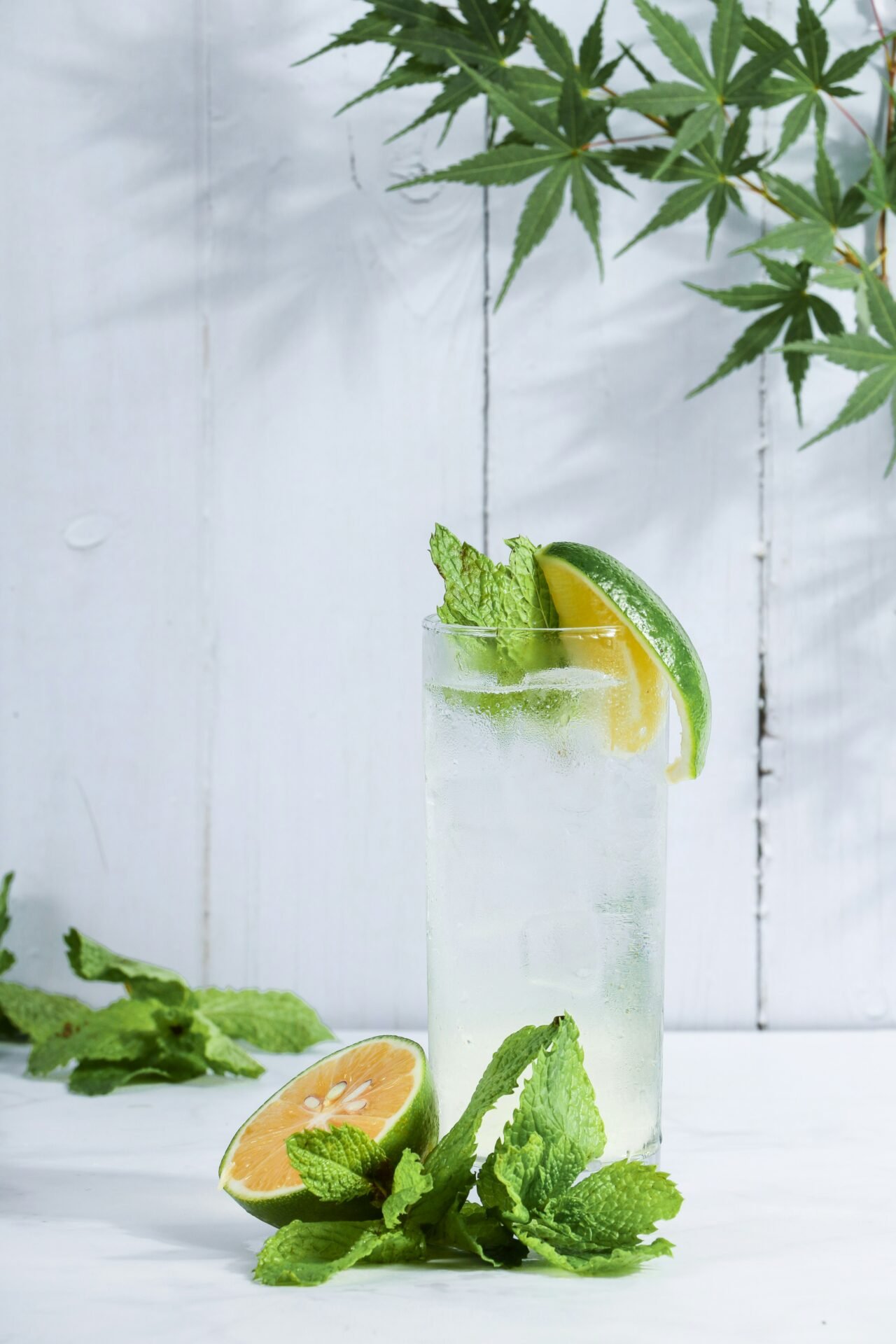 Orange Mint Spritzer made with sparkling water